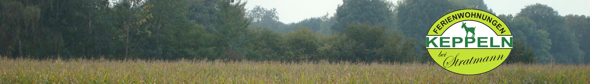 cropped-kopf1-2.png