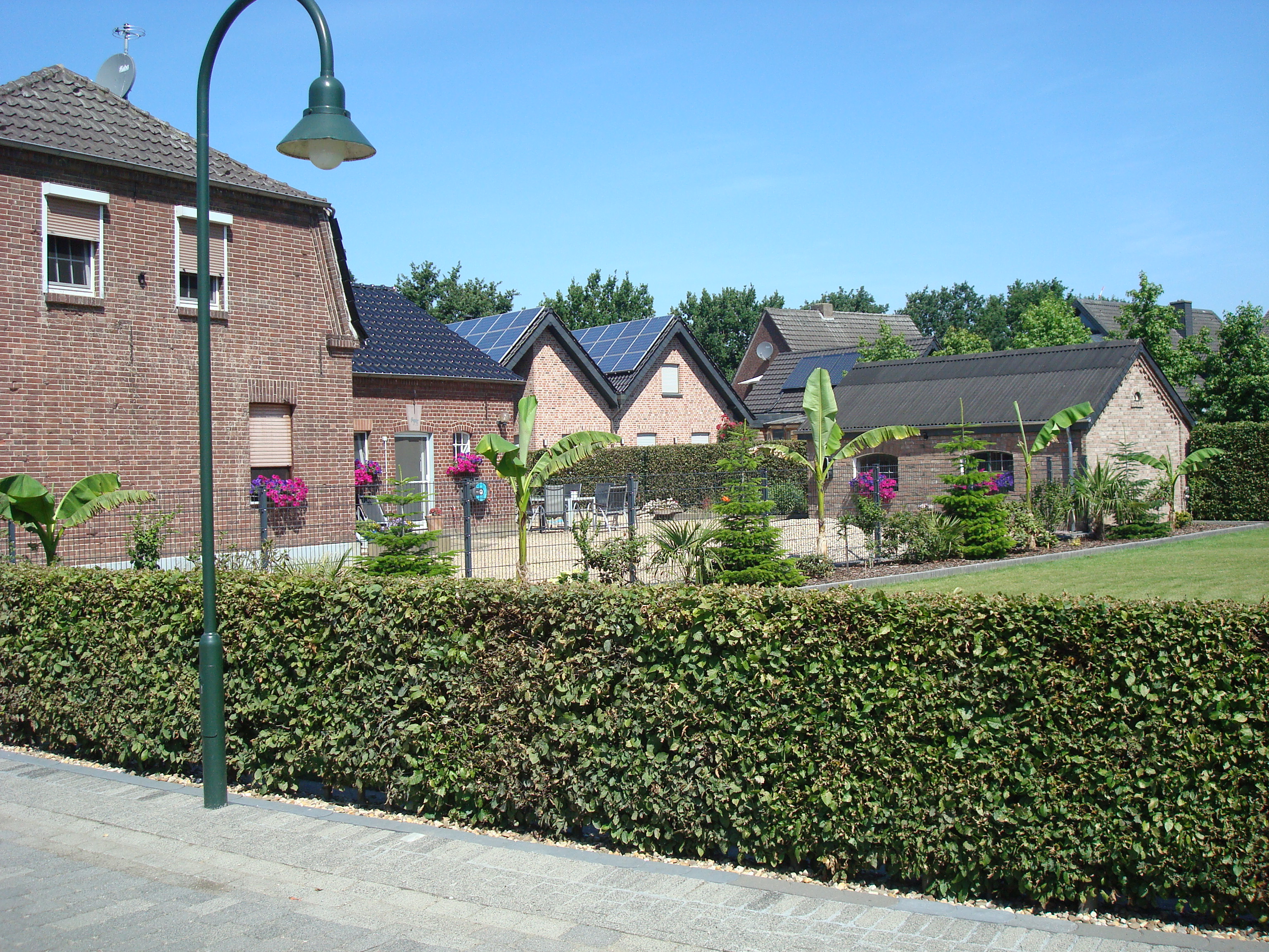 DSC04084